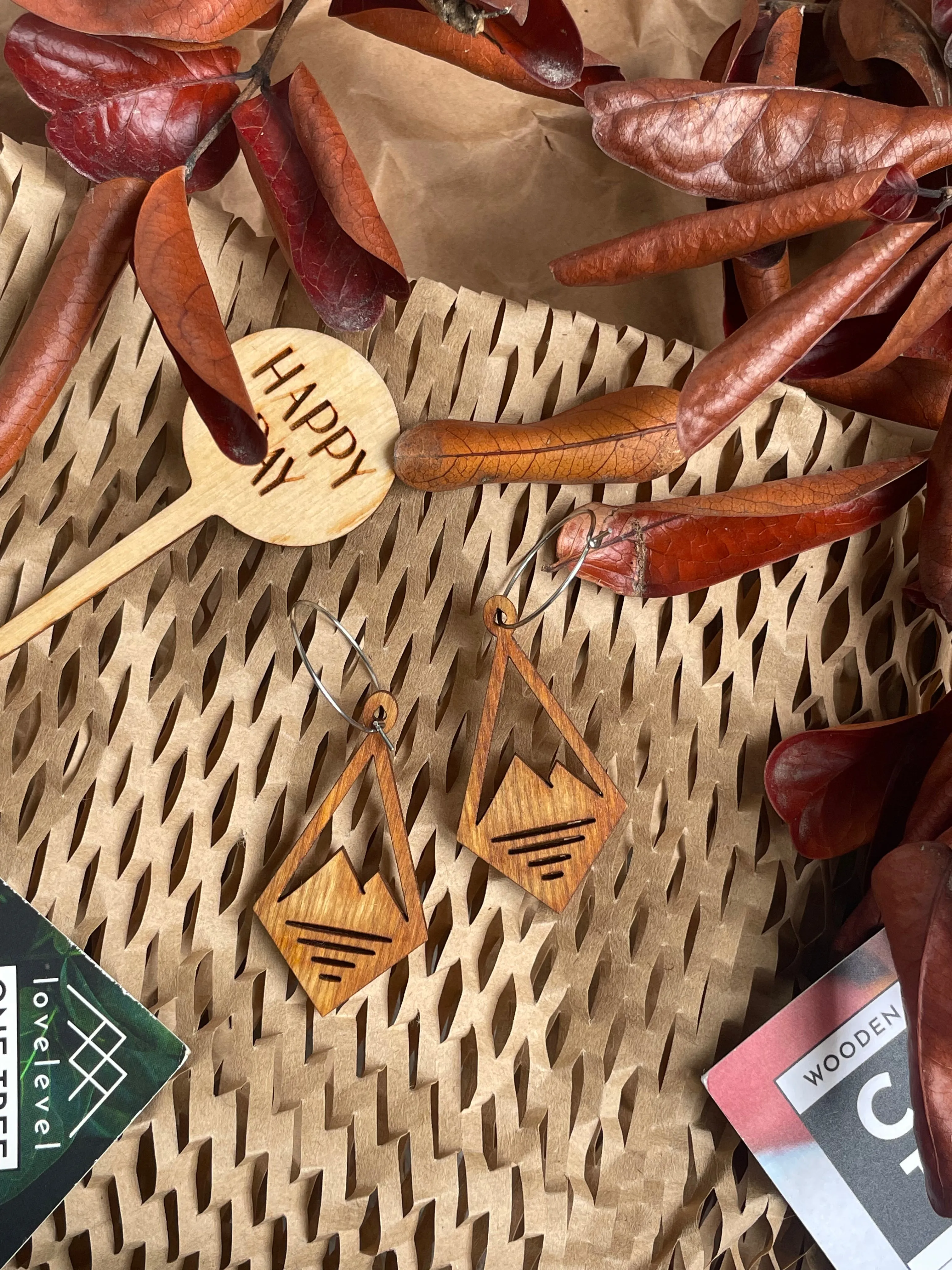 Natural Wood Earrings | PEAKS